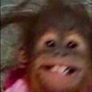 Meet your Posher, Trey